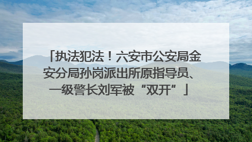 执法犯法！六安市公安局金安分局孙岗派出所原指导员、一级警长刘军被“双开”