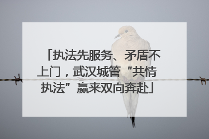 执法先服务、矛盾不上门，武汉城管“共情执法”赢来双向奔赴