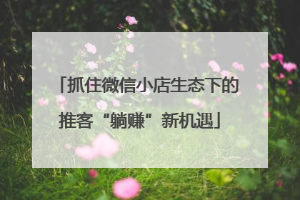 抓住微信小店生态下的推客“躺赚”新机遇