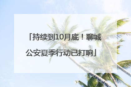 持续到10月底！聊城公安夏季行动已打响