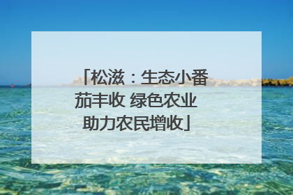 松滋：生态小番茄丰收 绿色农业助力农民增收