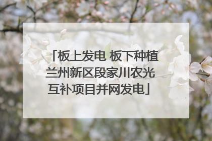 板上发电 板下种植 兰州新区段家川农光互补项目并网发电