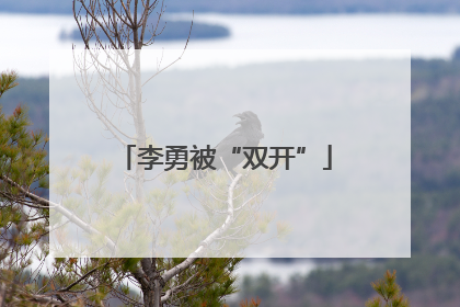 李勇被“双开”