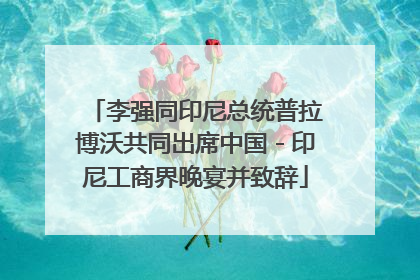 李强同印尼总统普拉博沃共同出席中国－印尼工商界晚宴并致辞