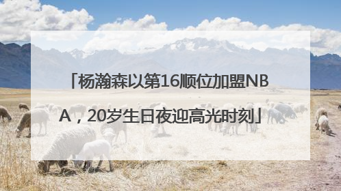 杨瀚森以第16顺位加盟NBA，20岁生日夜迎高光时刻