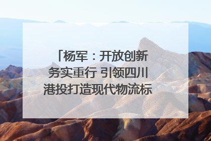 杨军：开放创新 务实重行 引领四川港投打造现代物流标杆｜致敬2024四川经济影响力人物