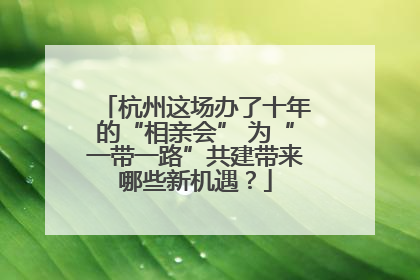 杭州这场办了十年的“相亲会” 为“一带一路”共建带来哪些新机遇？