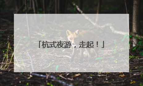 杭式夜游，走起！