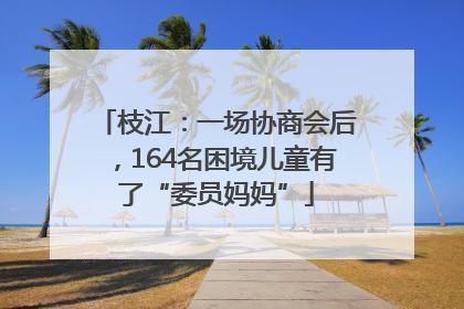 枝江：一场协商会后，164名困境儿童有了“委员妈妈”