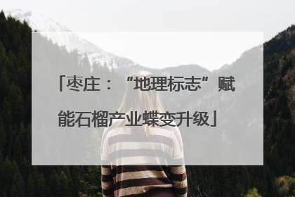 枣庄：“地理标志”赋能石榴产业蝶变升级