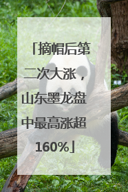摘帽后第二次大涨，山东墨龙盘中最高涨超160%
