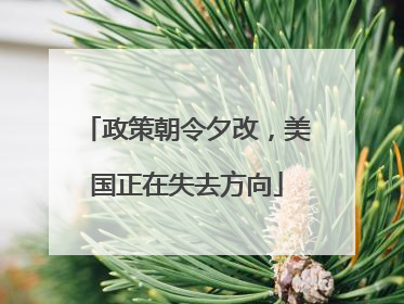 政策朝令夕改，美国正在失去方向