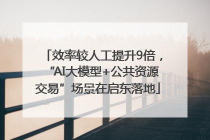 效率较人工提升9倍，“AI大模型+公共资源交易”场景在启东落地