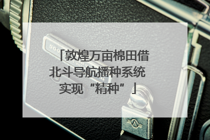 敦煌万亩棉田借北斗导航播种系统实现“精种”