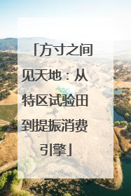方寸之间见天地：从特区试验田到提振消费引擎