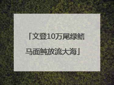 文登10万尾绿鳍马面鲀放流大海