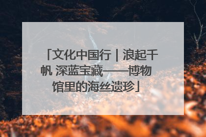 文化中国行｜浪起千帆 深蓝宝藏——博物馆里的海丝遗珍