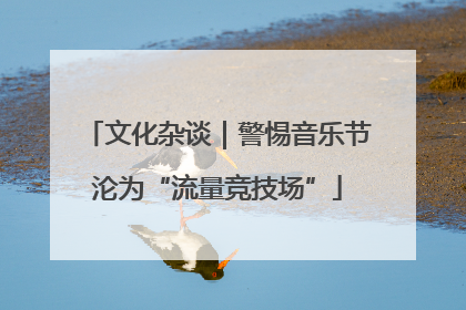 文化杂谈｜警惕音乐节沦为“流量竞技场”