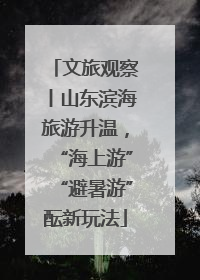 文旅观察丨山东滨海旅游升温，“海上游”“避暑游”酝新玩法