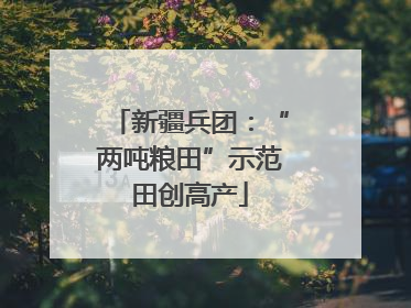 新疆兵团：“两吨粮田”示范田创高产