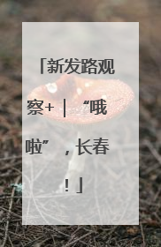 新发路观察+｜“哦啦”，长春！