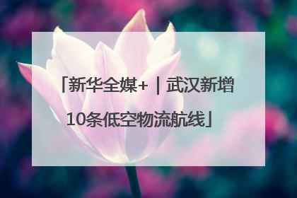 新华全媒+｜武汉新增10条低空物流航线
