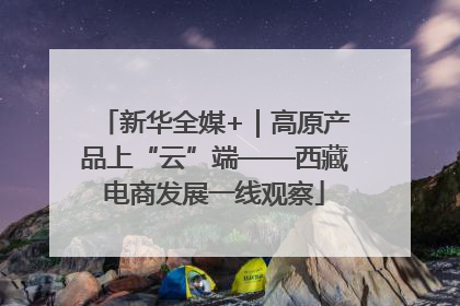 新华全媒+｜高原产品上“云”端——西藏电商发展一线观察