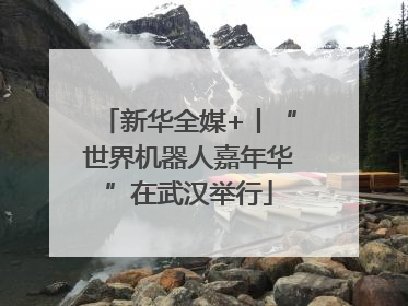新华全媒+丨“世界机器人嘉年华”在武汉举行
