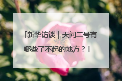 新华访谈｜天问二号有哪些了不起的地方？