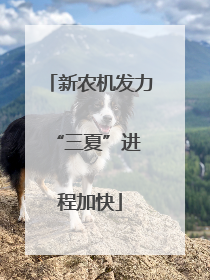 新农机发力 “三夏”进程加快