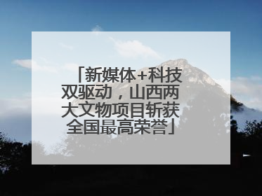 新媒体+科技双驱动，山西两大文物项目斩获全国最高荣誉