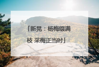 新晃：杨梅缀满枝 采梅正当时