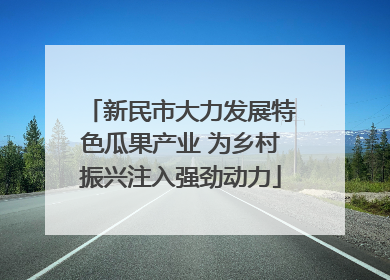 新民市大力发展特色瓜果产业 为乡村振兴注入强劲动力