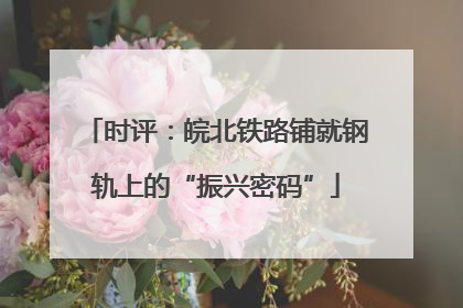 时评：皖北铁路铺就钢轨上的“振兴密码”