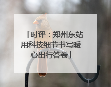 时评：郑州东站用科技细节书写暖心出行答卷