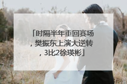 时隔半年重回赛场，樊振东上演大逆转，3比2徐瑛彬