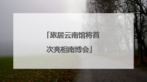 旅居云南馆将首次亮相南博会