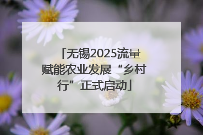 无锡2025流量赋能农业发展“乡村行”正式启动