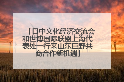 日中文化经济交流会和世博国际联盟上海代表处一行来山东巨野共商合作新机遇