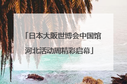 日本大阪世博会中国馆河北活动周精彩启幕
