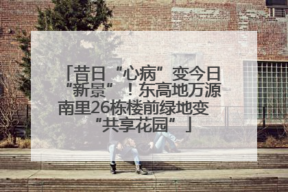 昔日“心病”变今日“新景”！东高地万源南里26栋楼前绿地变“共享花园”