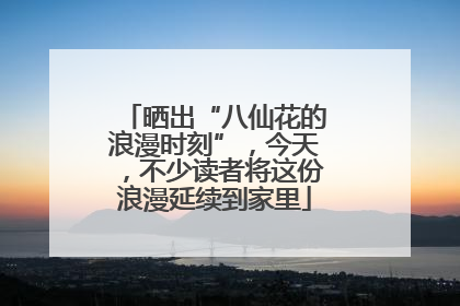 晒出“八仙花的浪漫时刻”，今天，不少读者将这份浪漫延续到家里