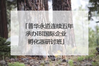 普华永道连续五年承办IBI国际企业孵化器研讨班