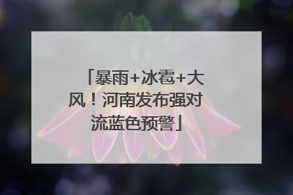 暴雨+冰雹+大风！河南发布强对流蓝色预警