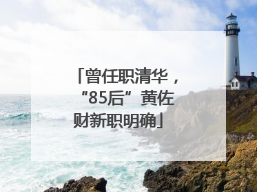 曾任职清华，“85后”黄佐财新职明确