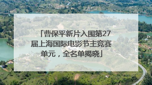 曹保平新片入围第27届上海国际电影节主竞赛单元，全名单揭晓