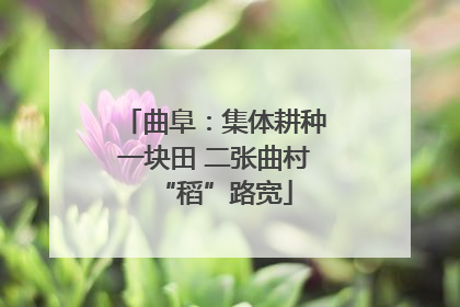 曲阜：集体耕种一块田 二张曲村“稻”路宽