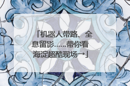 机器人带路、全息留影……带你看海淀超酷现场→