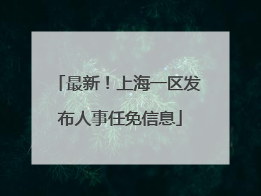 最新！上海一区发布人事任免信息