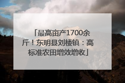 最高亩产1700余斤！东明县刘楼镇：高标准农田增效增收